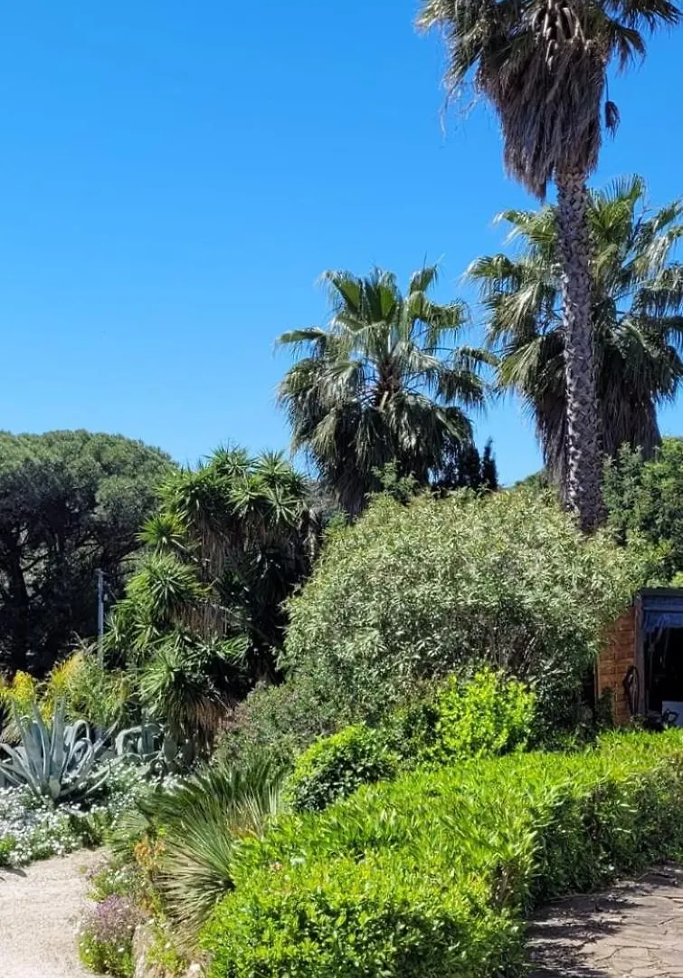 Villa Palm' Issambres 6-8 personnes avec piscine et jardin privés La Garonnette-Plage